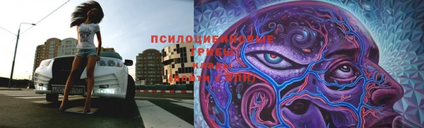 каннабис Арсеньев