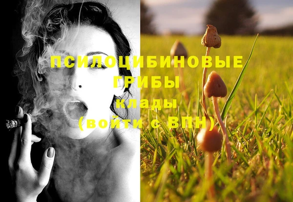 стафф Аркадак