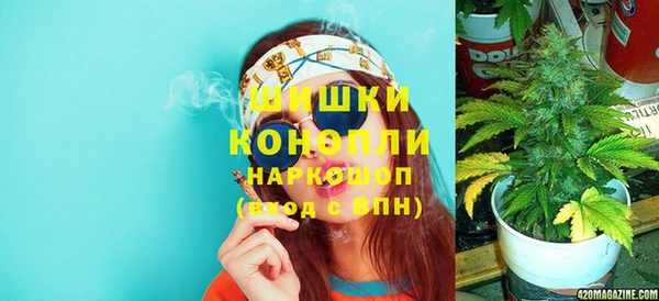 стафф Аркадак